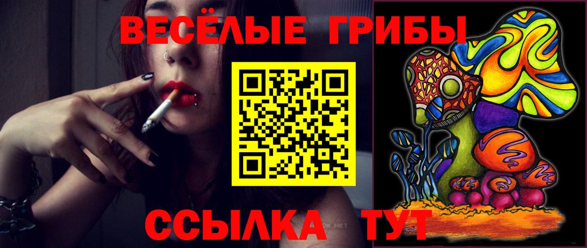 где можно купить наркотик  Вход с VPN  Надым  Псилоцибиновые грибы Psilocybine cubensis  Псилоцибиновые грибы Magic Shrooms 