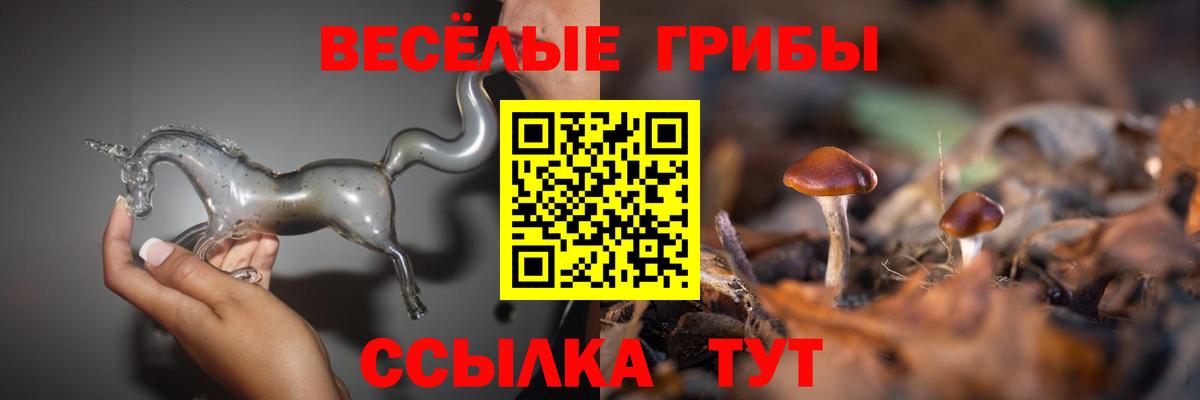Псилоцибиновые грибы Magic Shrooms Надым